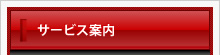 �Ɩ����e